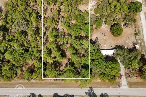 Купить земельный участок в Клуистон, Флорида № 2031282 - фото 3