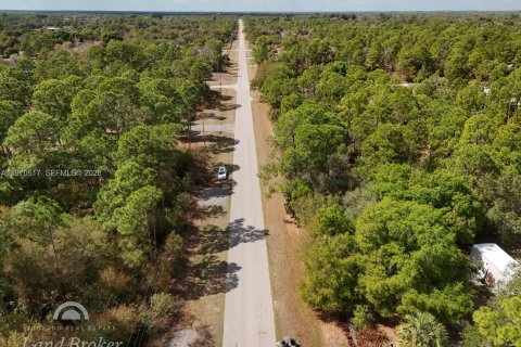 Купить земельный участок в Клуистон, Флорида № 2031282 - фото 27