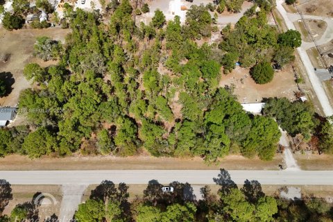 Купить земельный участок в Клуистон, Флорида № 2031282 - фото 4