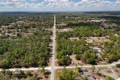 Купить земельный участок в Клуистон, Флорида № 2031282 - фото 9