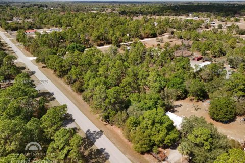 Купить земельный участок в Клуистон, Флорида № 2031282 - фото 21