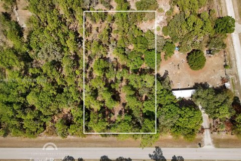 Земельный участок в Клуистон, Флорида № 2031282