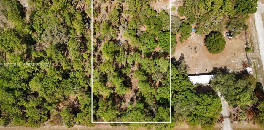Земельный участок в Клуистон, Флорида № 2031282