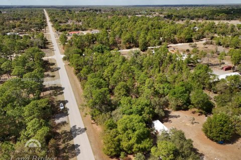 Купить земельный участок в Клуистон, Флорида № 2031282 - фото 22