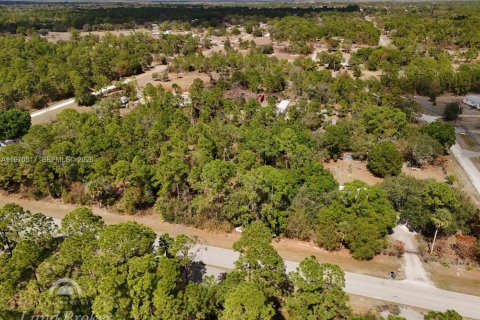 Купить земельный участок в Клуистон, Флорида № 2031282 - фото 20