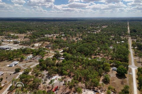 Купить земельный участок в Клуистон, Флорида № 2031282 - фото 12