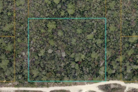 Terrain à Deltona, Floride № 2103440