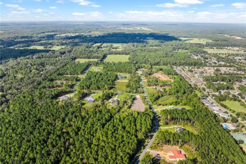 Terreno en venta en Newberry, Florida № 859058 - foto 3