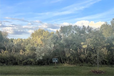Terreno en venta en Newberry, Florida № 859058 - foto 1