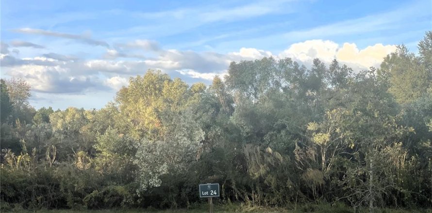 Terrain à Newberry, Floride № 859058