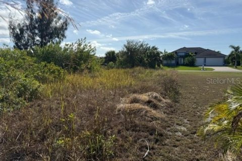 Land in Port Charlotte, Florida № 2165283 - photo 7