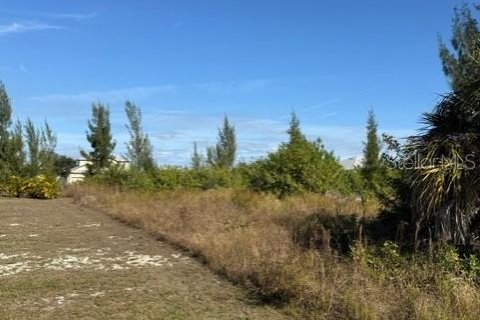 Land in Port Charlotte, Florida № 2165283 - photo 4