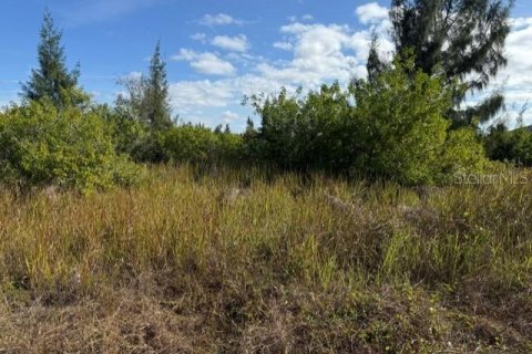Land in Port Charlotte, Florida № 2165283 - photo 11