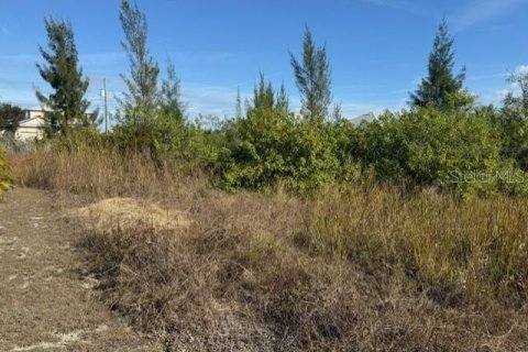 Land in Port Charlotte, Florida № 2165283 - photo 15