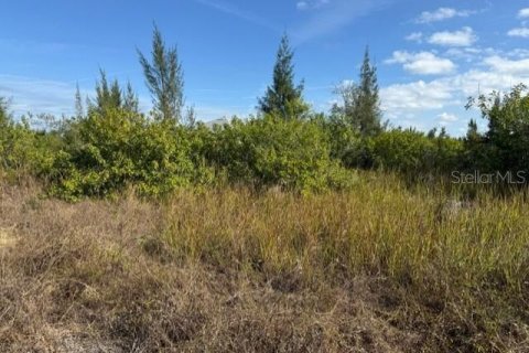 Land in Port Charlotte, Florida № 2165283 - photo 13