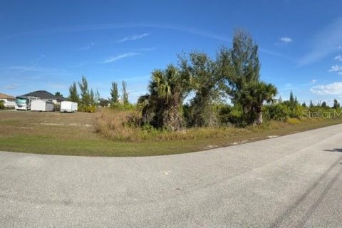 Land in Port Charlotte, Florida № 2165283