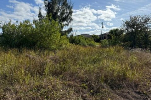 Land in Port Charlotte, Florida № 2165283 - photo 10