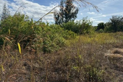 Land in Port Charlotte, Florida № 2165283 - photo 6