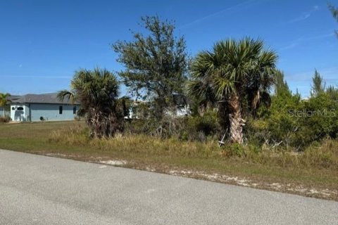 Land in Port Charlotte, Florida № 2165283 - photo 16