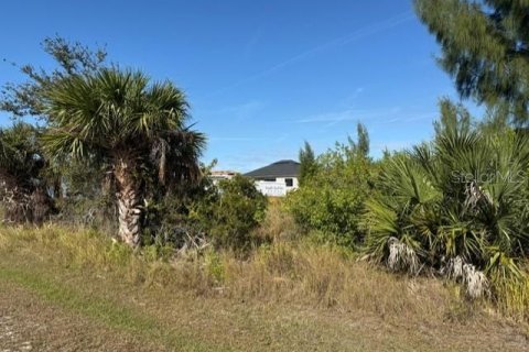 Land in Port Charlotte, Florida № 2165283 - photo 5