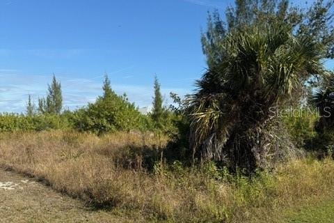 Land in Port Charlotte, Florida № 2165283 - photo 3