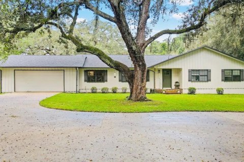 House in Floral City, Florida 4 bedrooms, 291.34 sq.m. № 1906610 - photo 1