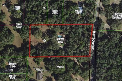 House in Floral City, Florida 4 bedrooms, 291.34 sq.m. № 1906610 - photo 4