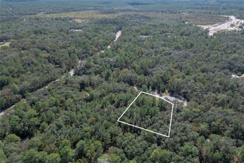 Terrain à vendre à Ocala, Floride № 2145014 - photo 4