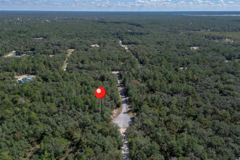 Terrain à vendre à Ocala, Floride № 2145014 - photo 3