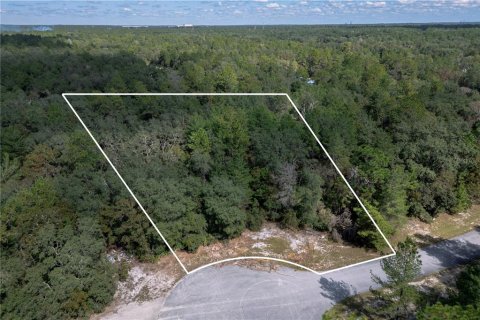 Terrain à Ocala, Floride № 2145014