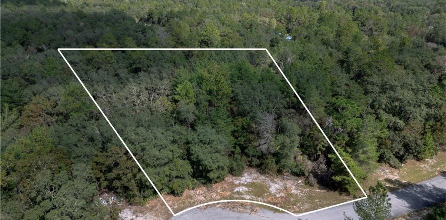 Terrain à Ocala, Floride № 2145014