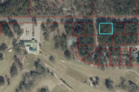 Land in Chiefland, Florida № 2163019 - photo 2