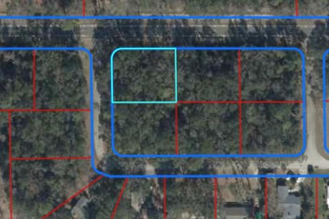 Land in Chiefland, Florida № 2163019