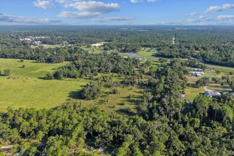 Terreno en venta en Bronson, Florida № 1917631 - foto 10