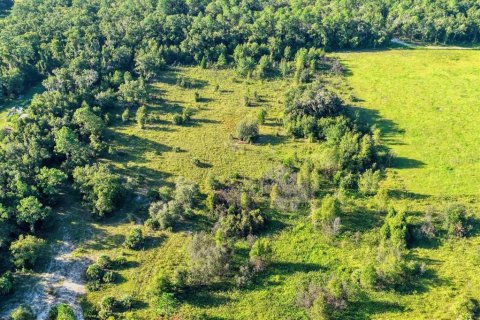 Terreno en venta en Bronson, Florida № 1917631 - foto 7