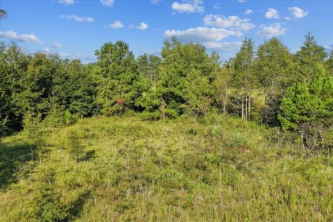 Terreno en venta en Bronson, Florida № 1917631 - foto 20