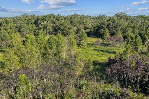 Terreno en venta en Bronson, Florida № 1917631 - foto 18