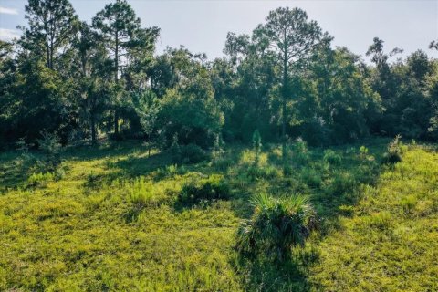 Terreno en venta en Bronson, Florida № 1917631 - foto 23