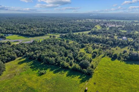 Terreno en venta en Bronson, Florida № 1917631 - foto 14