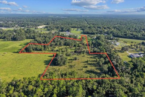 Terreno en venta en Bronson, Florida № 1917631 - foto 3