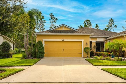 Villa ou maison à vendre à Riverview, Floride: 3 chambres, 154.03 m2 № 1905852 - photo 1