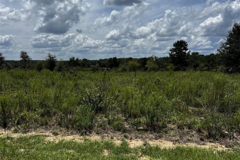 Land in Hawthorne, Florida № 1879550 - photo 6