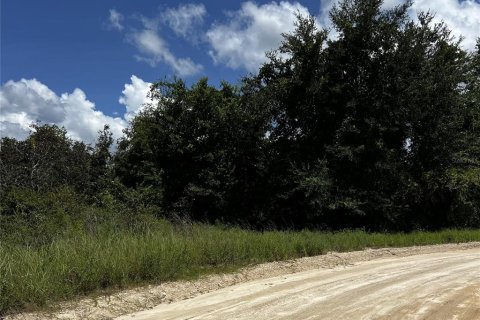 Land in Hawthorne, Florida № 1879550 - photo 4