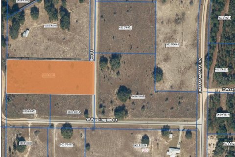 Land in Hawthorne, Florida № 1879550 - photo 1