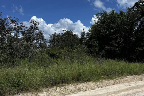 Land in Hawthorne, Florida № 1879550 - photo 2