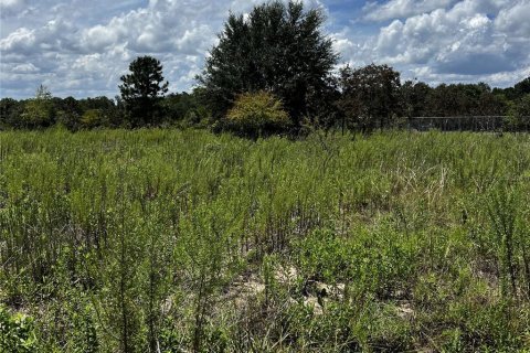 Land in Hawthorne, Florida № 1879550 - photo 5