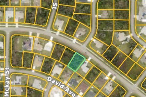 Land in North Port, Florida № 2161501 - photo 2