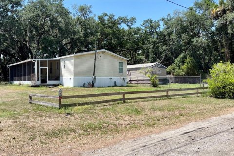 Estudio en Lutz, Florida № 2123686