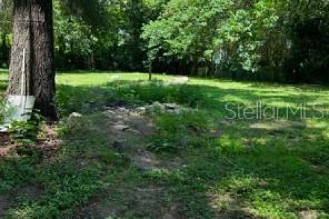 Commercial property in Reddick, Florida № 1561315 - photo 8