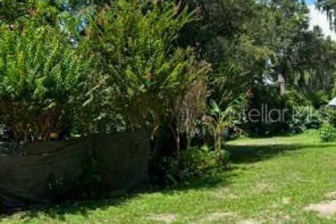 Commercial property in Reddick, Florida № 1561315 - photo 9